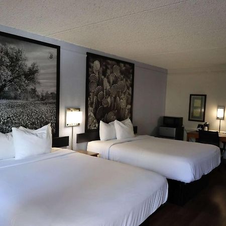 Hotel Super 8 By Wyndham Austin South I-35 Extérieur photo